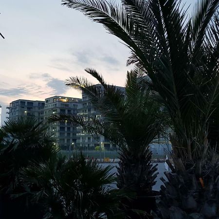 The Horse - De Silva Residence Mamaia Exteriör bild