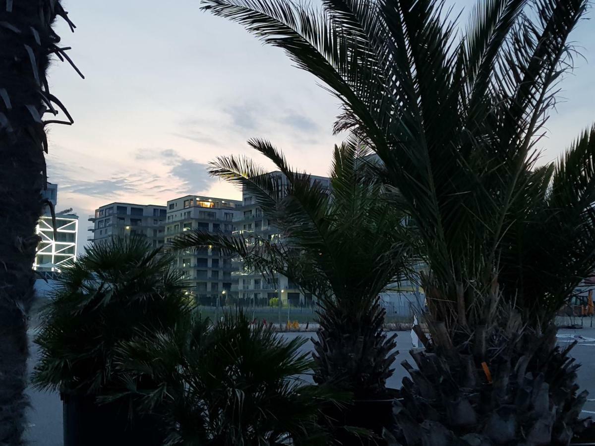 The Horse - De Silva Residence Mamaia Exteriör bild